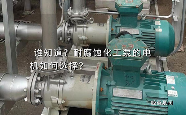 谁知道?耐腐蚀化工泵的电机如何选择？