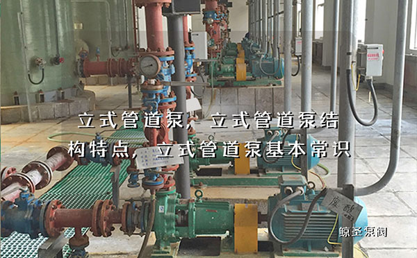立式管道泵,立式管道泵结构特点,立式管道泵基本常识