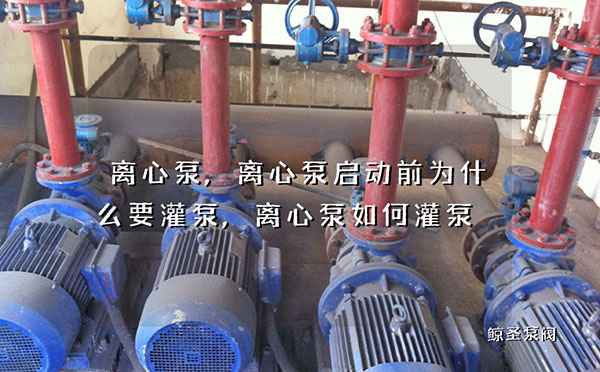 离心泵,离心泵启动前为什么要灌泵,离心泵如何灌泵