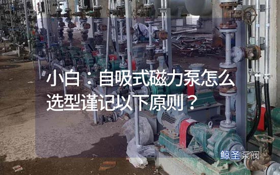 小白：自吸式磁力泵怎么选型谨记以下原则？