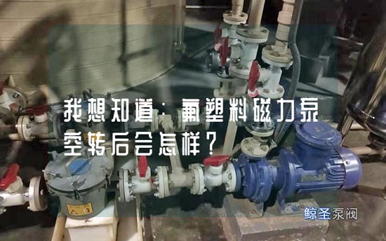 我想知道：氟塑料磁力泵空转后会怎样？