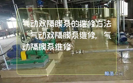 气动双隔膜泵的维修方法,气动双隔膜泵维修,气动隔膜泵维修