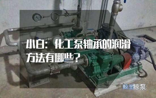 小白:化工泵轴承的润滑方法有哪些?