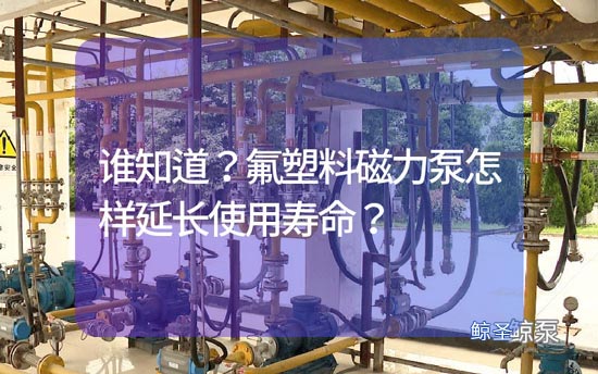 谁知道?氟塑料磁力泵怎样延长使用寿命?