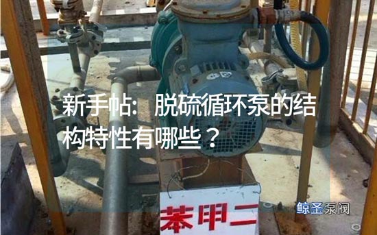 新手帖:脱硫循环泵的结构特性有哪些?