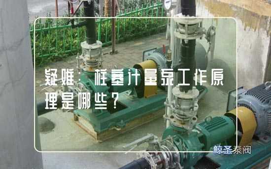 疑难:柱塞计量泵工作原理是哪些?