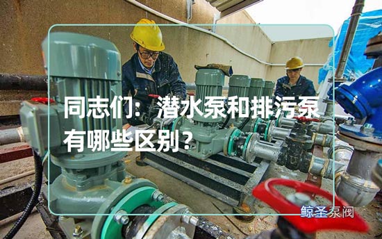 同志们:潜水泵和排污泵有哪些区别?