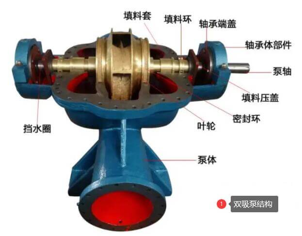 双吸泵结构