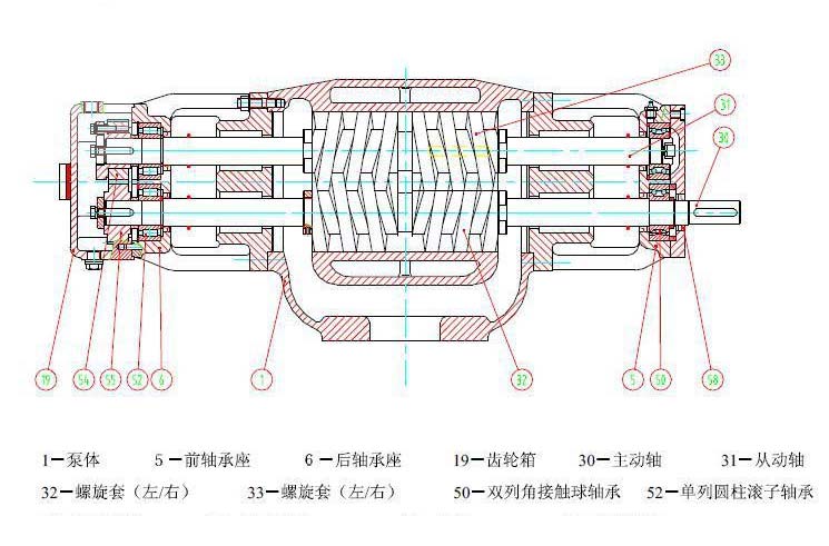 双螺杆泵结构图